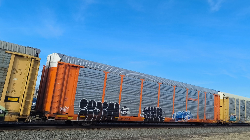 BNSF 25631 (Body) BNSF 303067 (Flat)